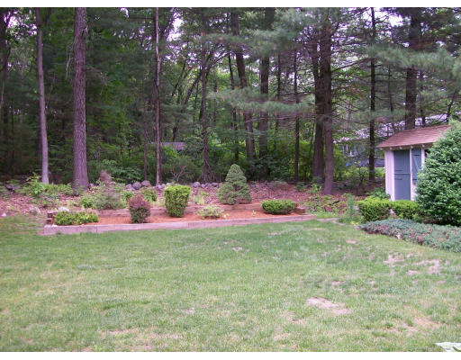 16 Trotting Road Chelmsford, MA 01824 - Photo 16 of 17