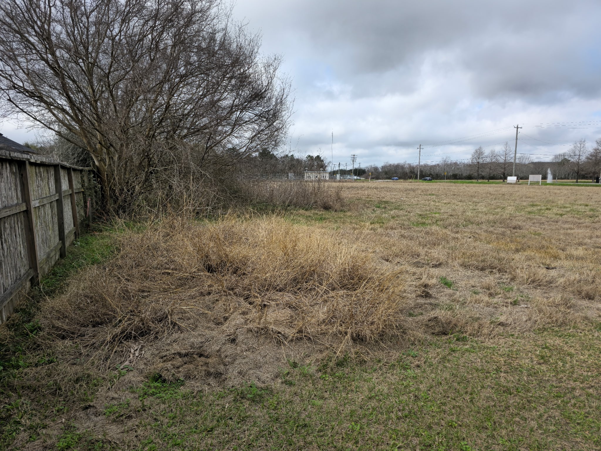 0 Fm 517 Dickinson, TX 77539 - Photo 21 of 30 Back fence line of property.