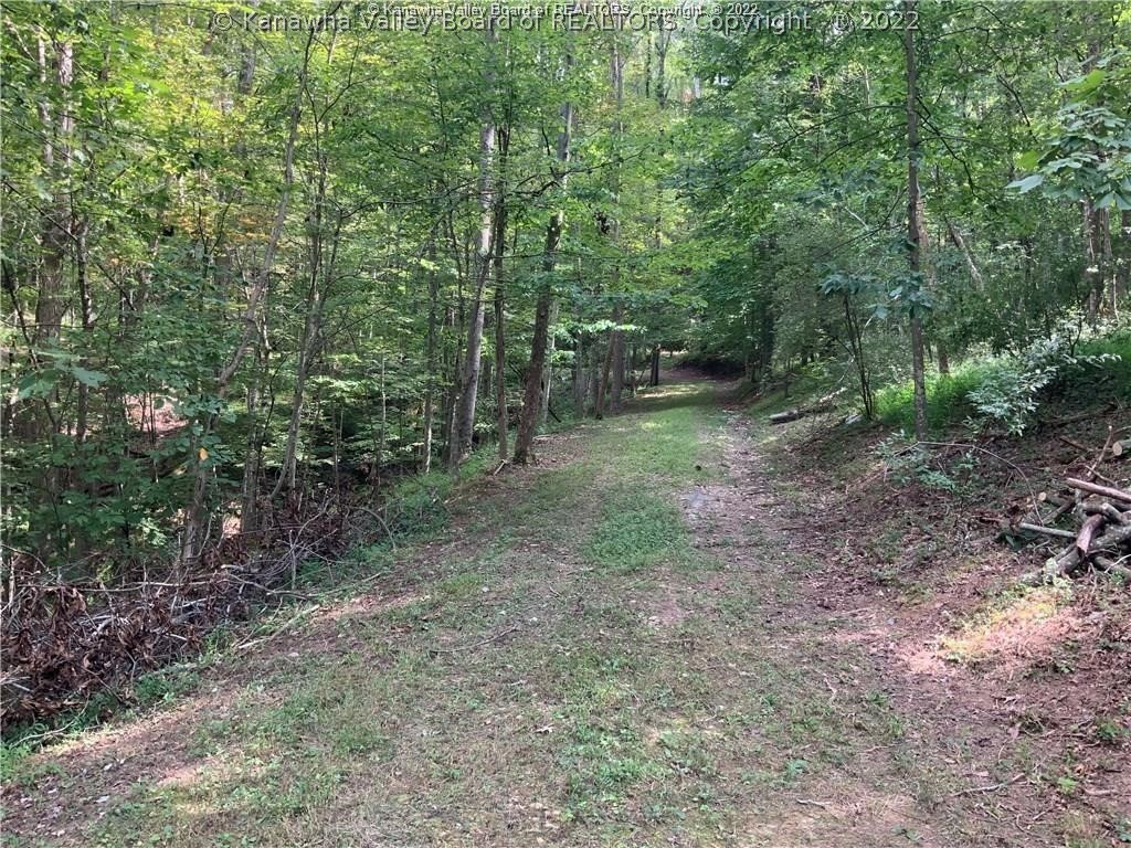 4919 Statts Mills Road Ripley, WV 25271 - Photo 39 of 47 Gallery Image 39