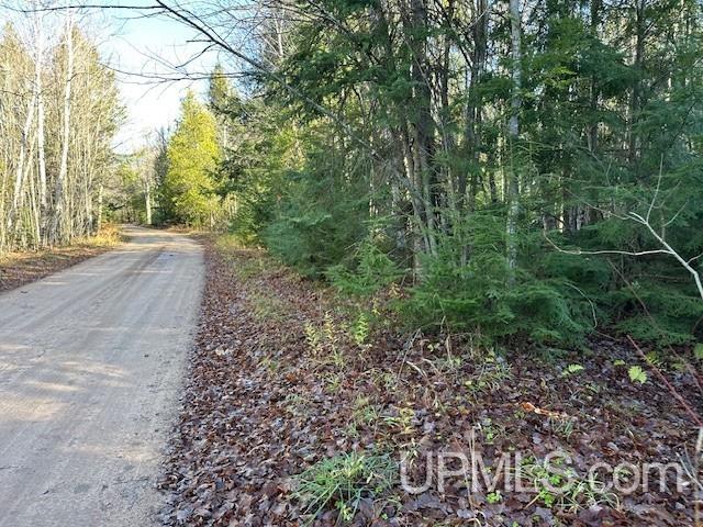0 North Point Road Au Train, MI 49806 - Photo 16 of 20