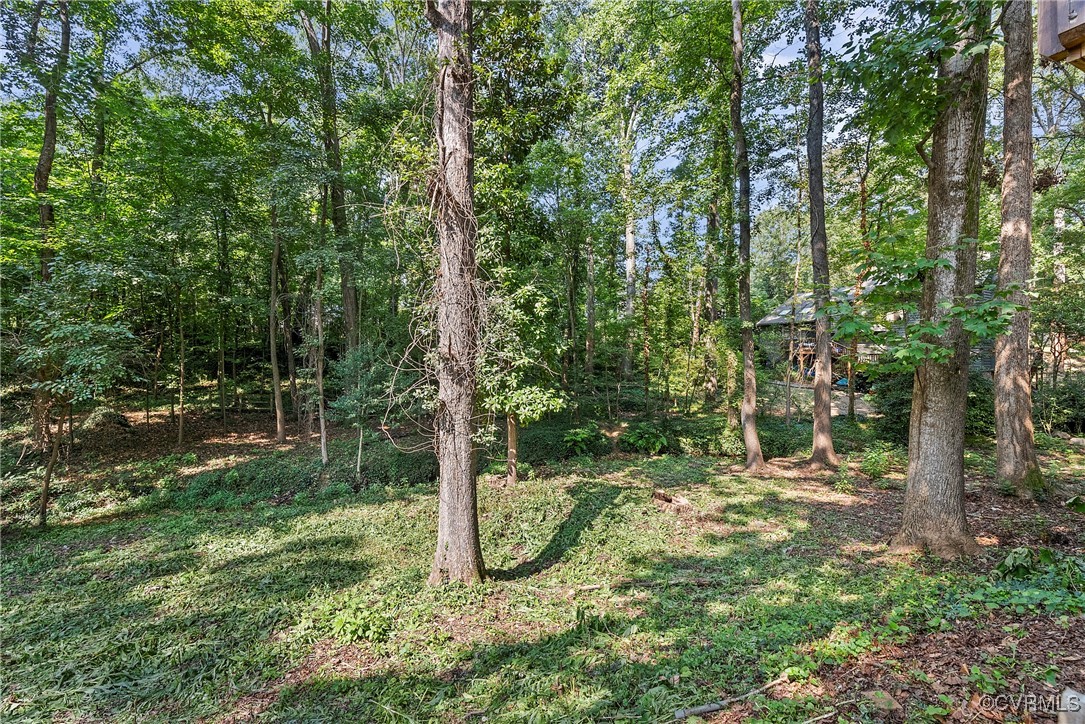 2502 Brookwood Road North Chesterfield, VA 23235 - Photo 28 of 32 a view of a tree in a yard