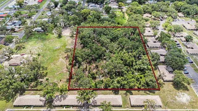 an outdoor view of a garden