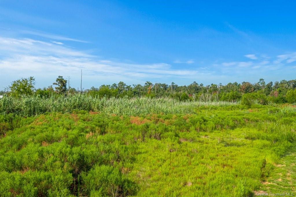 0 Giovanni Street Lake Charles, LA 70601 - Photo 9 of 10