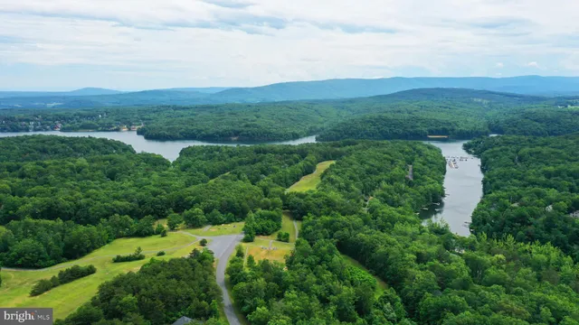 an aerial view of green landscape with trees houses and mountain view