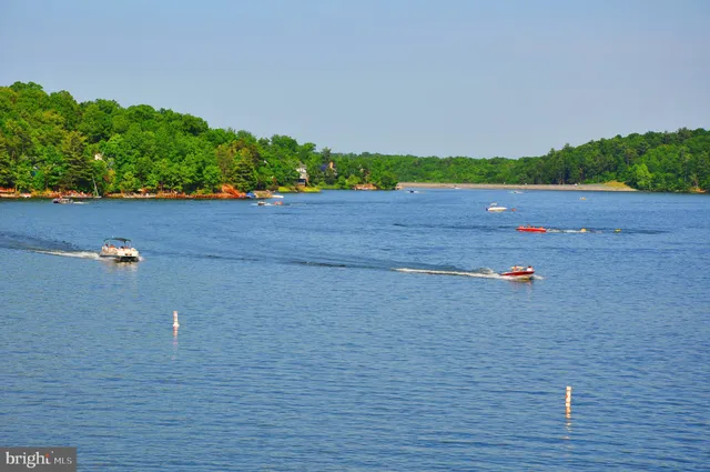 a view of a dry yard