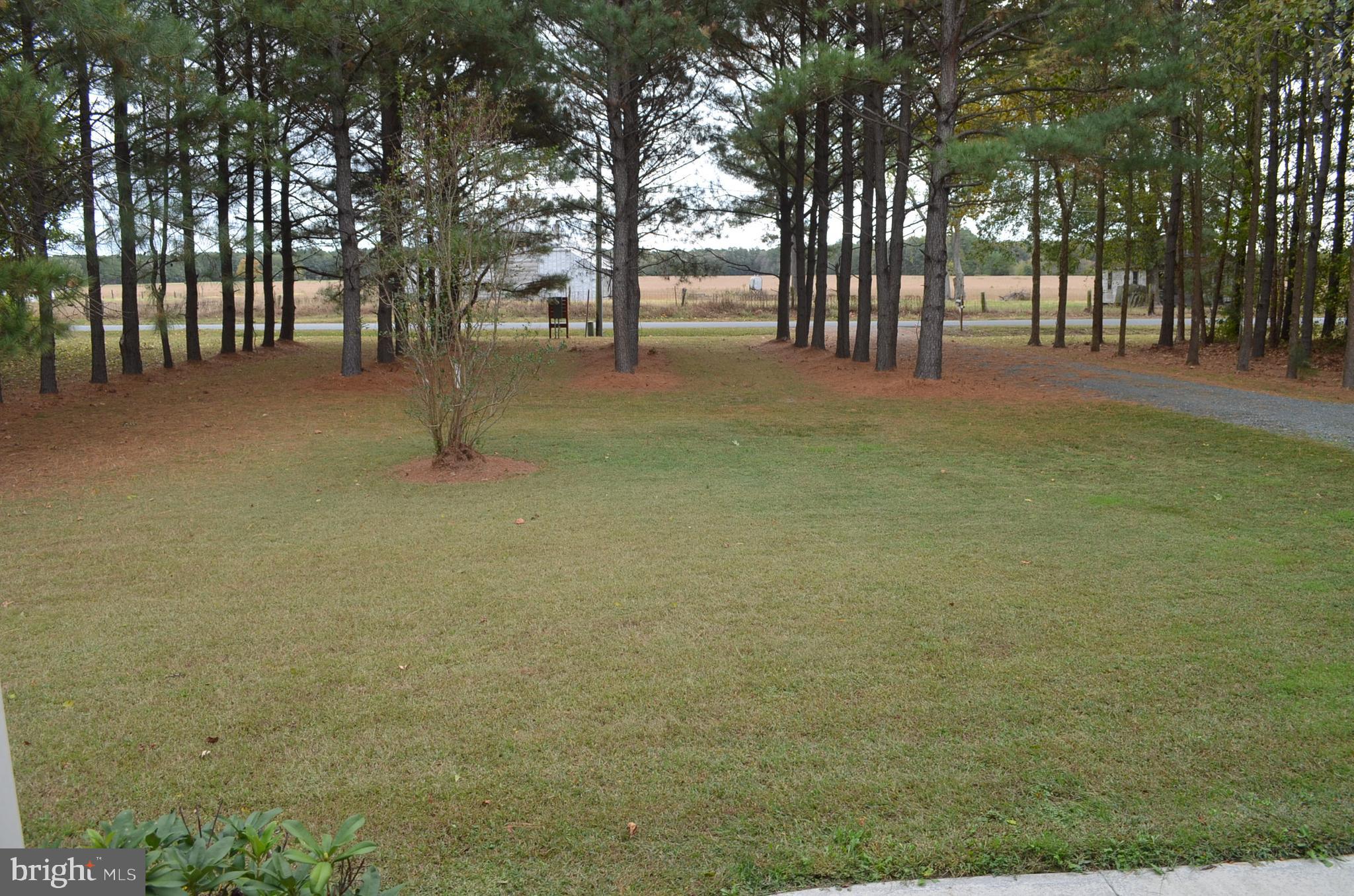 13360 Fitzbound Road Princess Anne, MD 21853 - Photo 39 of 92
