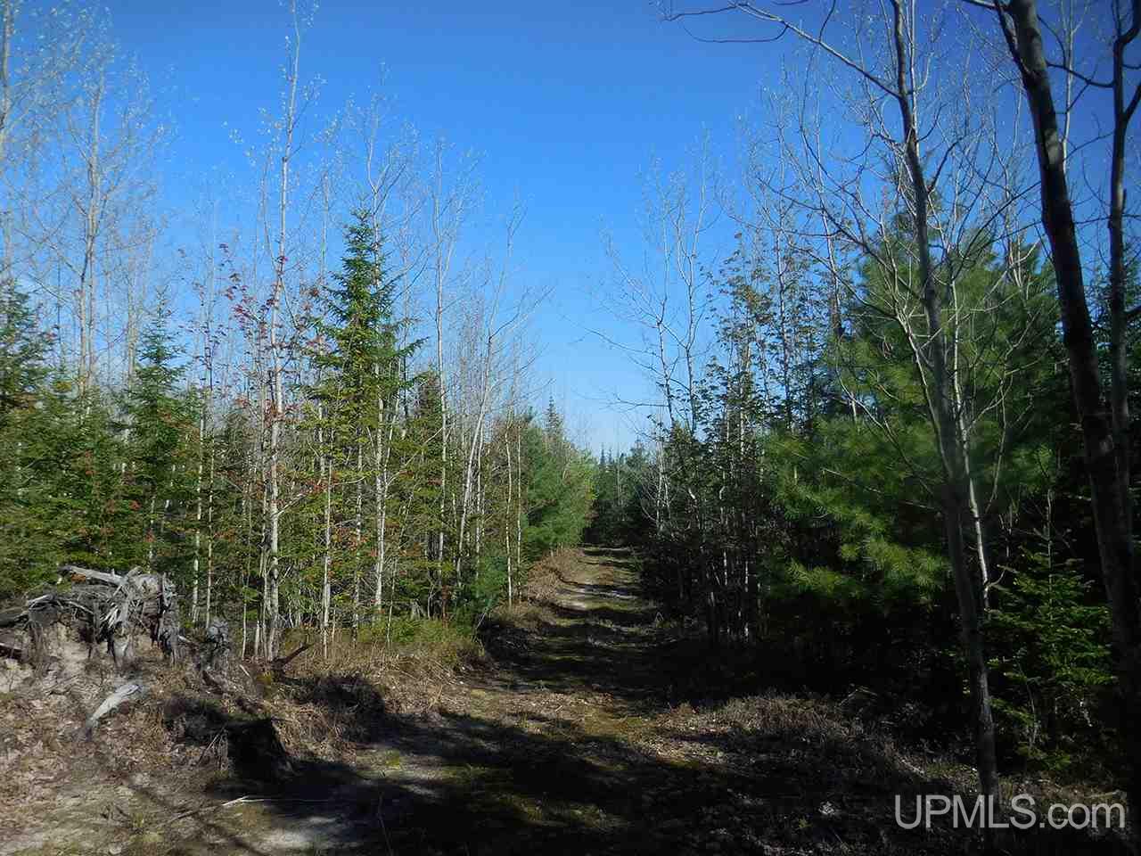1480 Acres On Co Road Manistique, MI 49854 - Photo 15 of 49