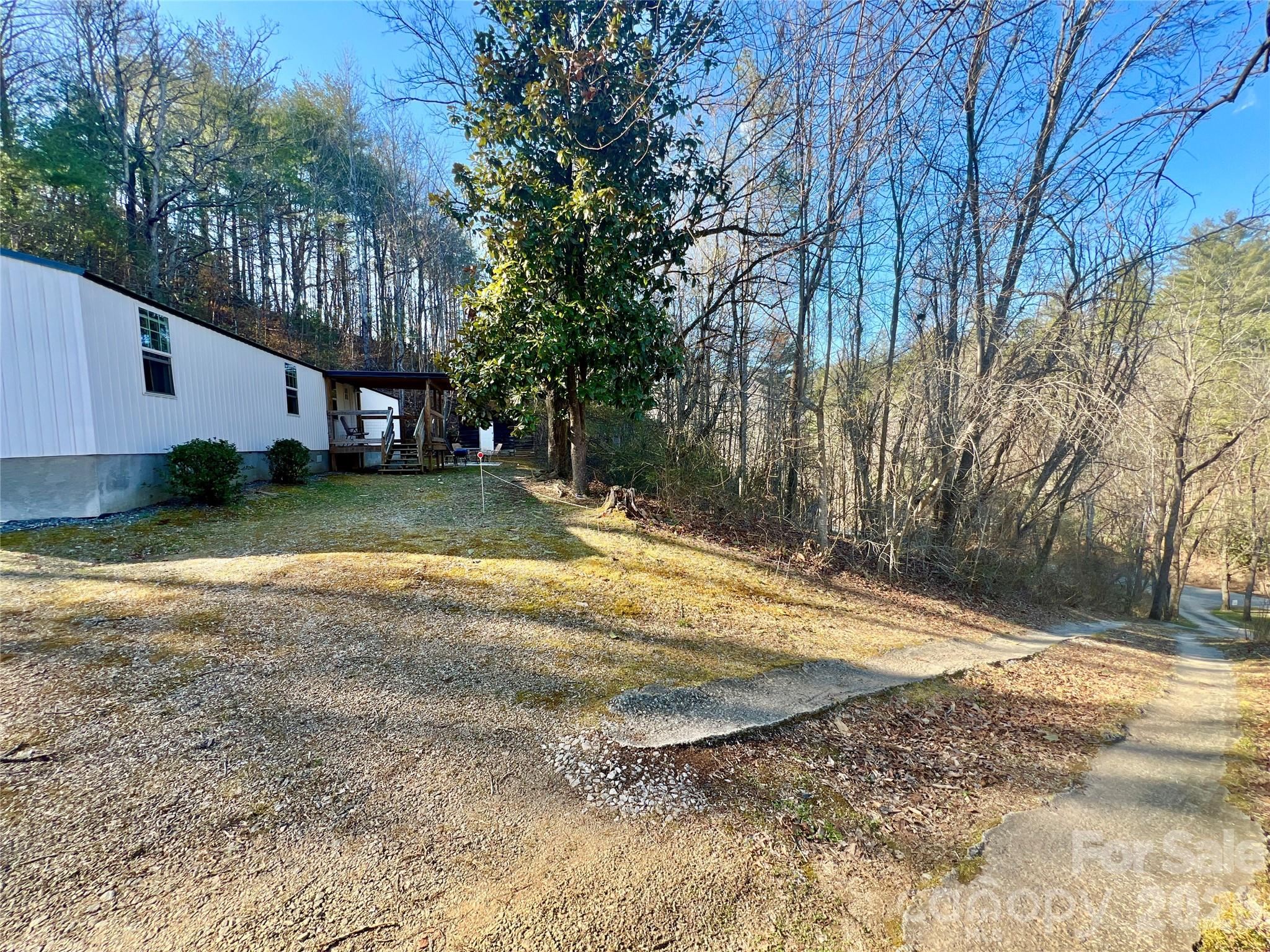 1019 Hudlin Gap Road Pisgah Forest, NC 28768 - Photo 13 of 24 a view of a yard with plants and a large tree