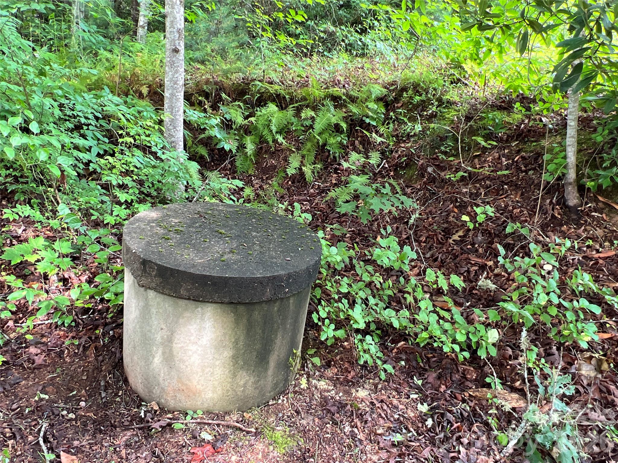 1019 Hudlin Gap Road Pisgah Forest, NC 28768 - Photo 23 of 24 a view of a bird bath