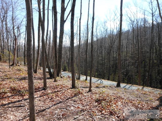 6 Twain Place Boone, NC 28607 - Photo 4 of 7 Gallery Image 4