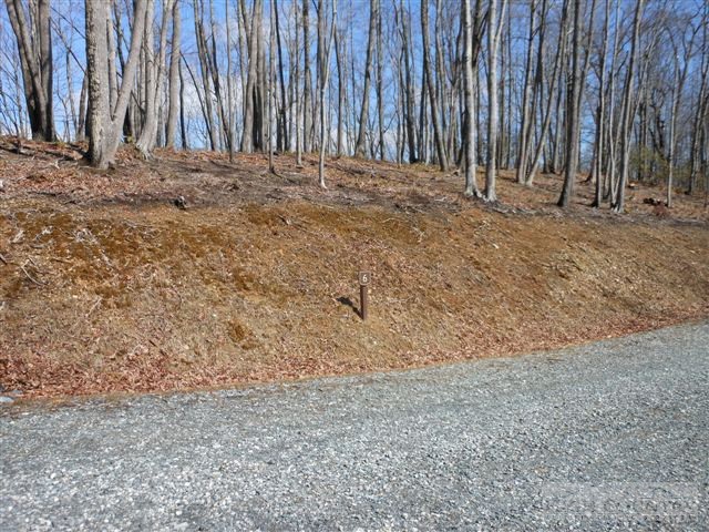 6 Twain Place Boone, NC 28607 - Photo 7 of 7 Gallery Image 7