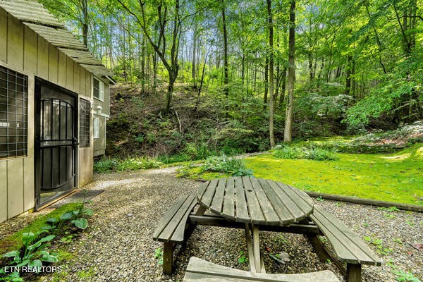 3127 Emerald Springs Loop Sevierville, TN 37862 - Photo 14 of 60 a view of a backyard with plants
