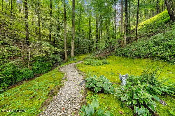 3127 Emerald Springs Loop Sevierville, TN 37862 - Photo 16 of 60