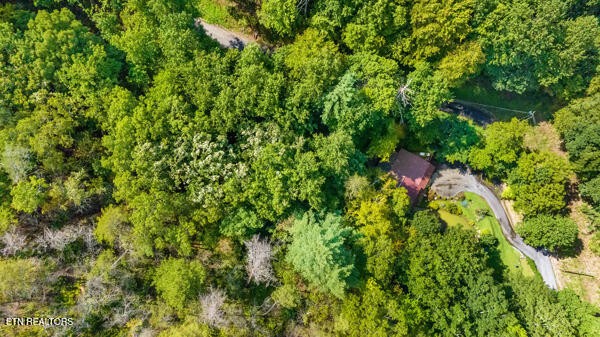 3127 Emerald Springs Loop Sevierville, TN 37862 - Photo 51 of 60 a backyard of a house with lots of green space