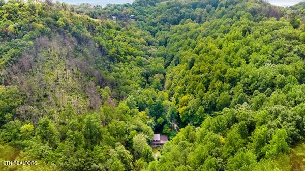 3127 Emerald Springs Loop Sevierville, TN 37862 - Photo 54 of 60 a view of a lush green forest with a houses
