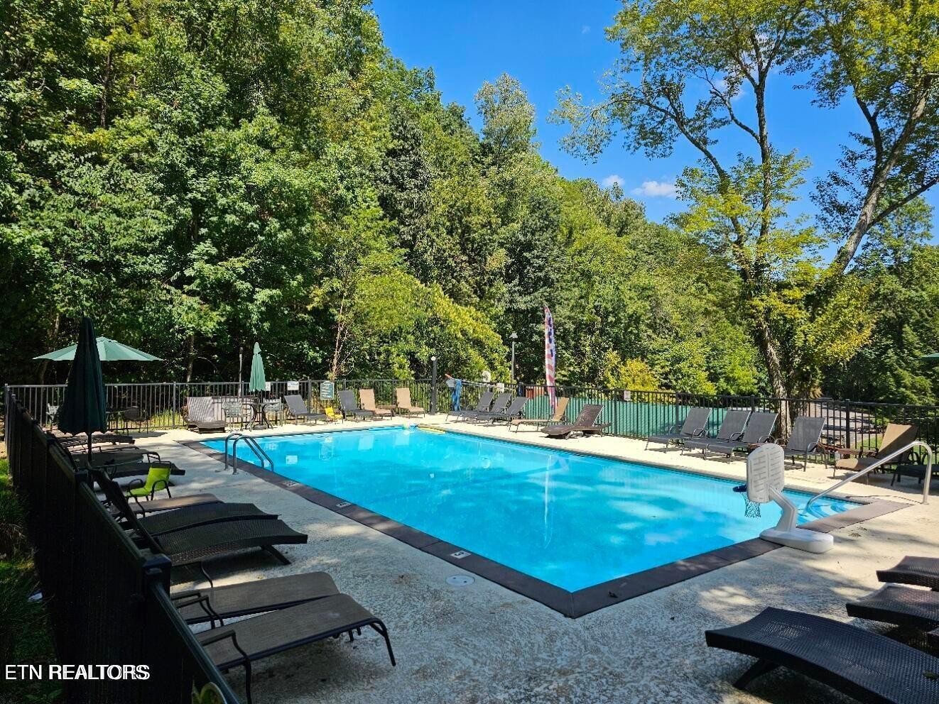 3127 Emerald Springs Loop Sevierville, TN 37862 - Photo 55 of 60 a view of a backyard with swimming pool