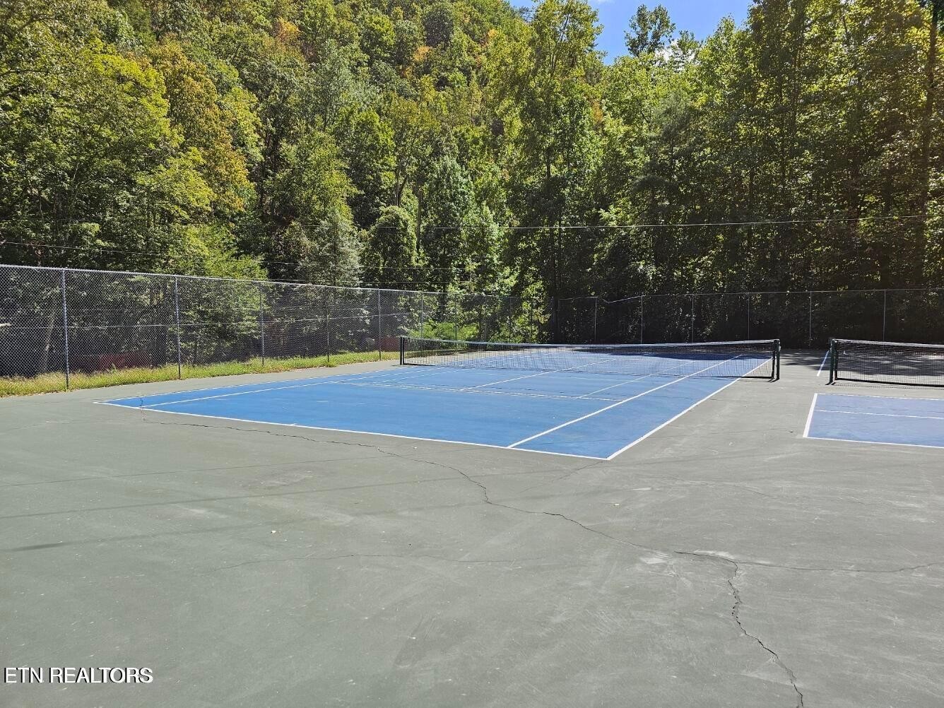 3127 Emerald Springs Loop Sevierville, TN 37862 - Photo 56 of 60 a view of basketball court