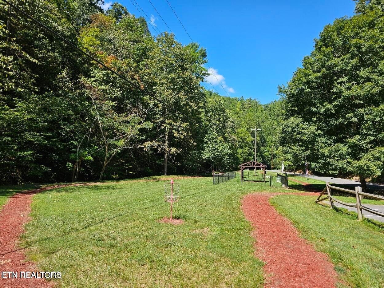 3127 Emerald Springs Loop Sevierville, TN 37862 - Photo 57 of 60 a view of a park