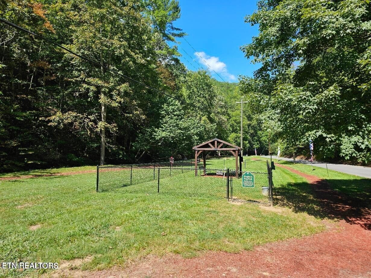 3127 Emerald Springs Loop Sevierville, TN 37862 - Photo 58 of 60 a view of park