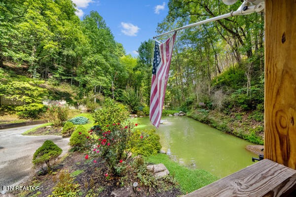 3127 Emerald Springs Loop Sevierville, TN 37862 - Photo 7 of 60 a view of a yard with plants and large trees