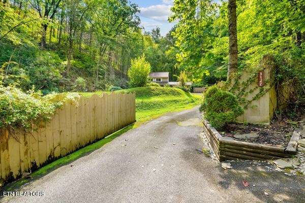 3127 Emerald Springs Loop Sevierville, TN 37862 - Photo 8 of 60