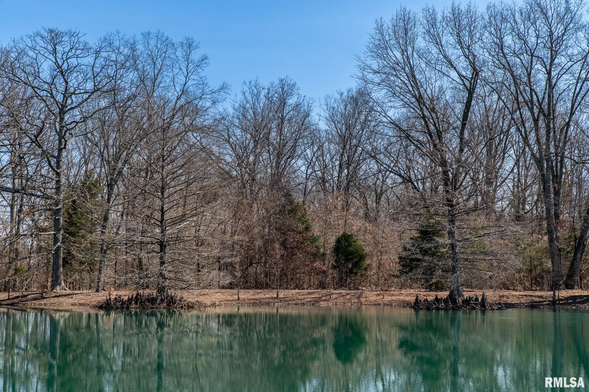 19503 Shed Church Road Marion, IL 62959 - Photo 35 of 46