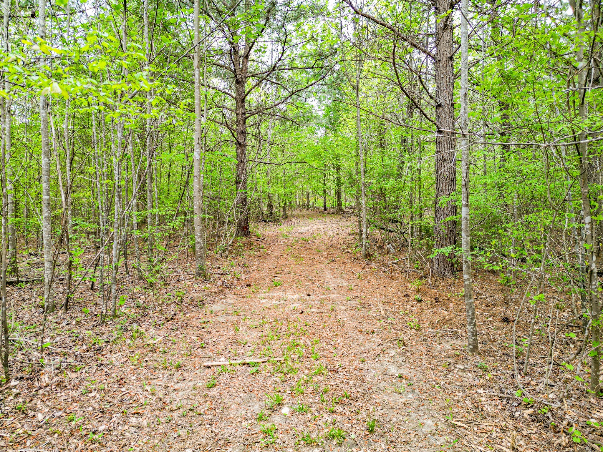 920 Mason Bates Bend Road Centerville, TN 37033 - Photo 64 of 82 Gallery Image 64