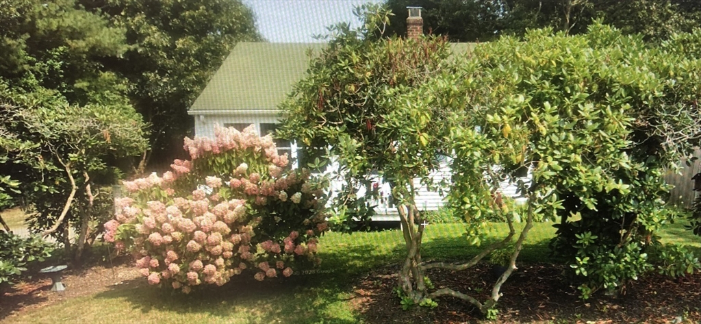 14 Bayberry Road Bourne, MA 02532 - Photo 4 of 16 a backyard of a house with lots of green space