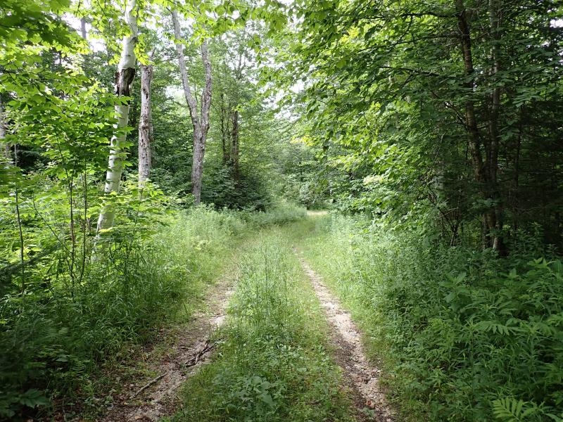 701 Saltash Road Shrewsbury, VT 05738 - Photo 12 of 20