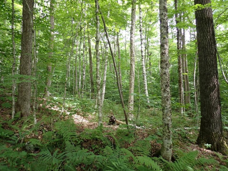 701 Saltash Road Shrewsbury, VT 05738 - Photo 16 of 20