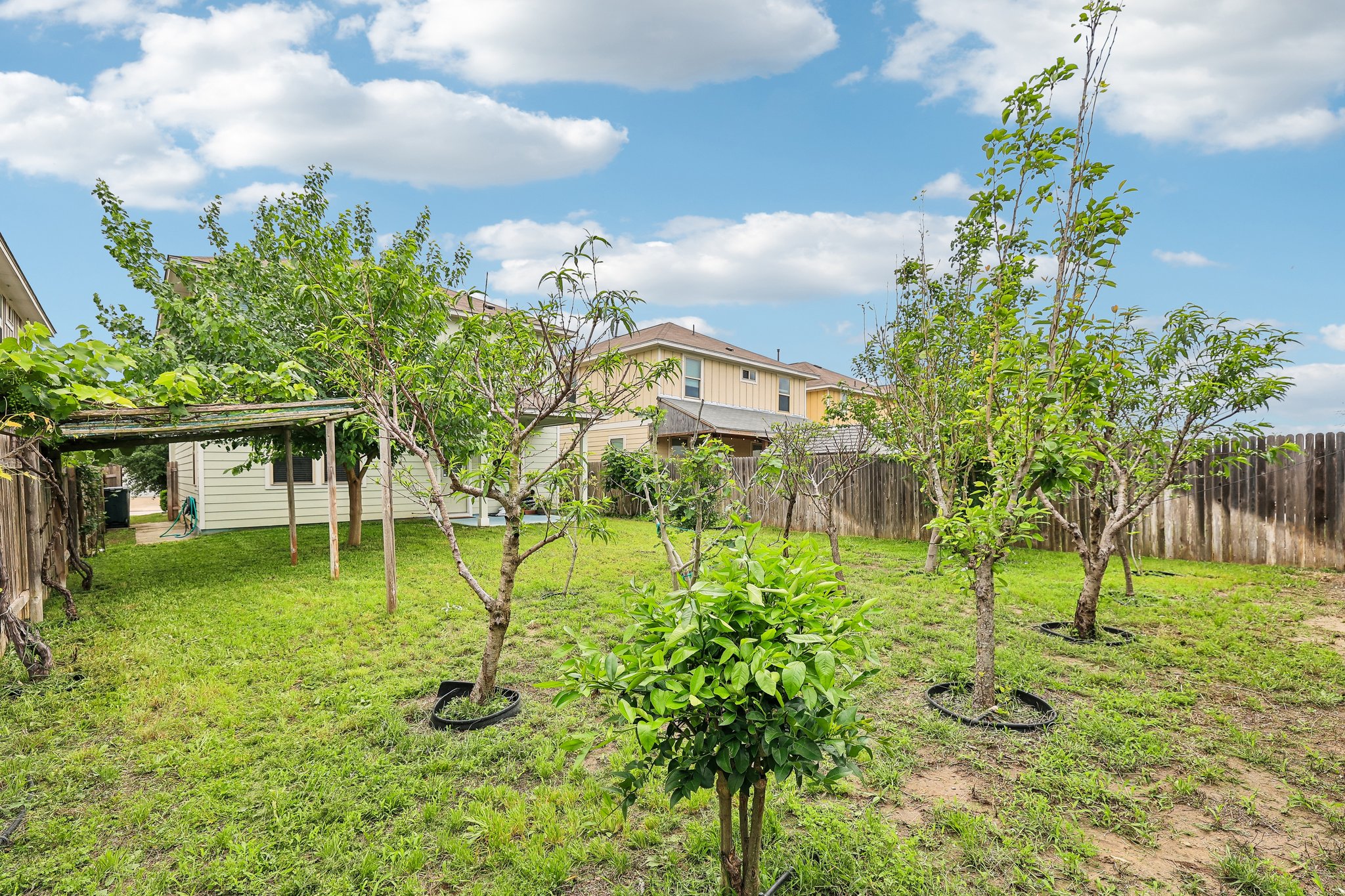 387 Guemal Road Buda, TX 78610 - Photo 37 of 39 Expansive backyard featuring a green lawn, several young trees, and a wooden pergola structure