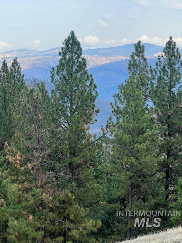 Doty Road Kamiah, ID 83536 - Photo 10 of 10