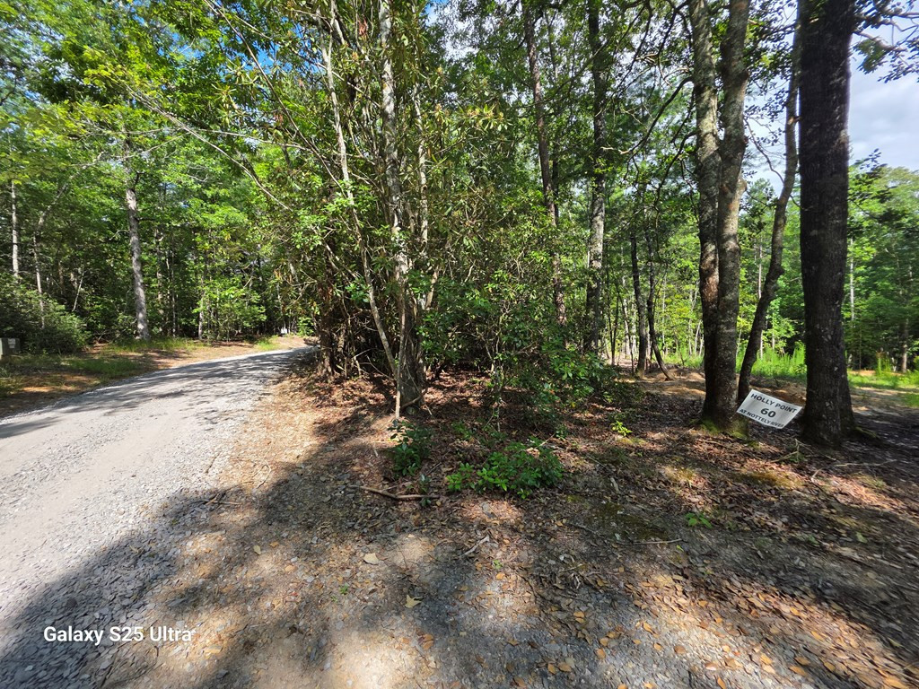 0 Rainy Farm Road Murphy, NC 28906 - Photo 3 of 4