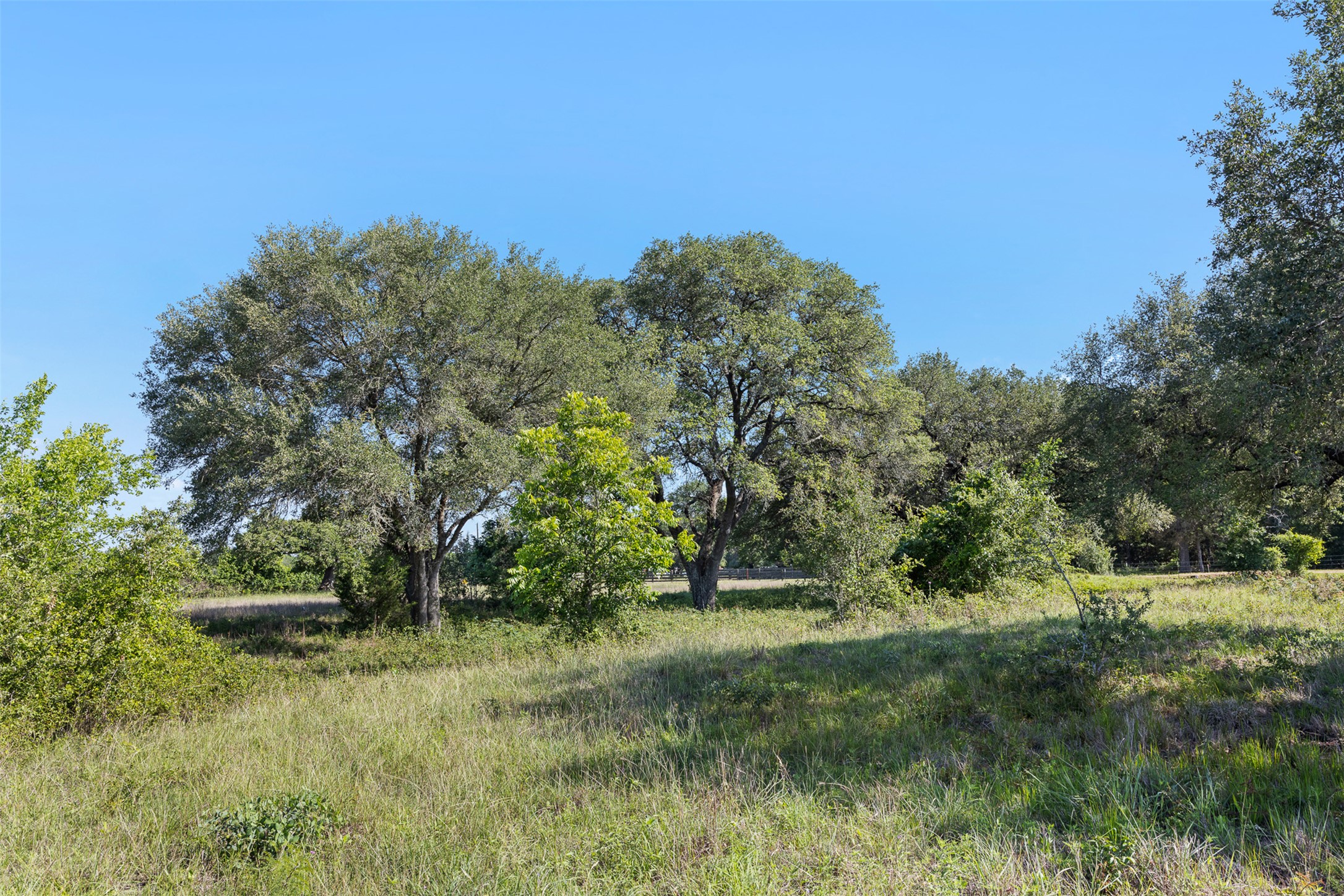 1310 North Nassau Road Round Top, TX 78954 - Photo 15 of 24