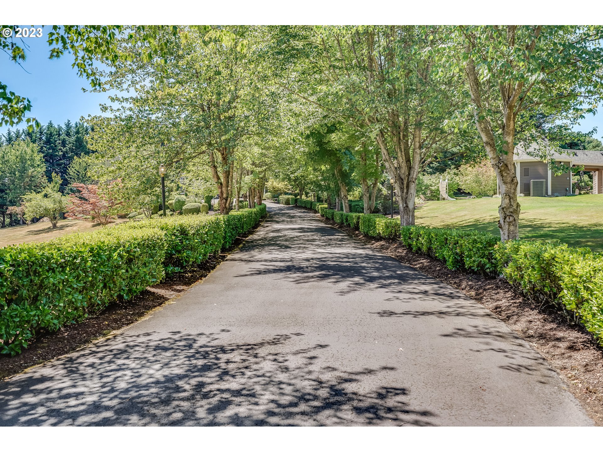 21418 Northwest 11th Avenue Ridgefield, WA 98642 - Photo 37 of 42 a view of a park with large trees