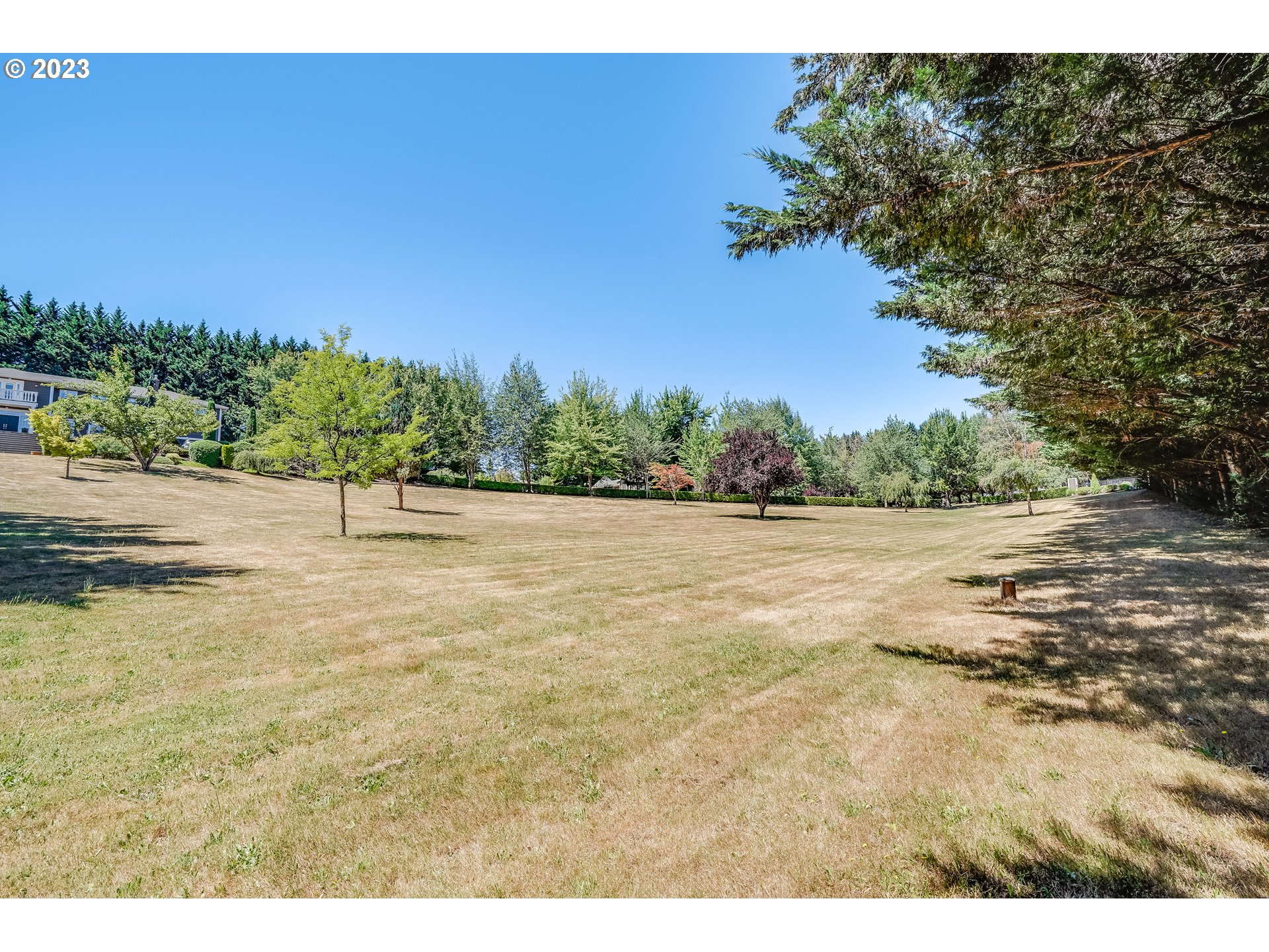 21418 Northwest 11th Avenue Ridgefield, WA 98642 - Photo 38 of 42 a view of a field with trees in background