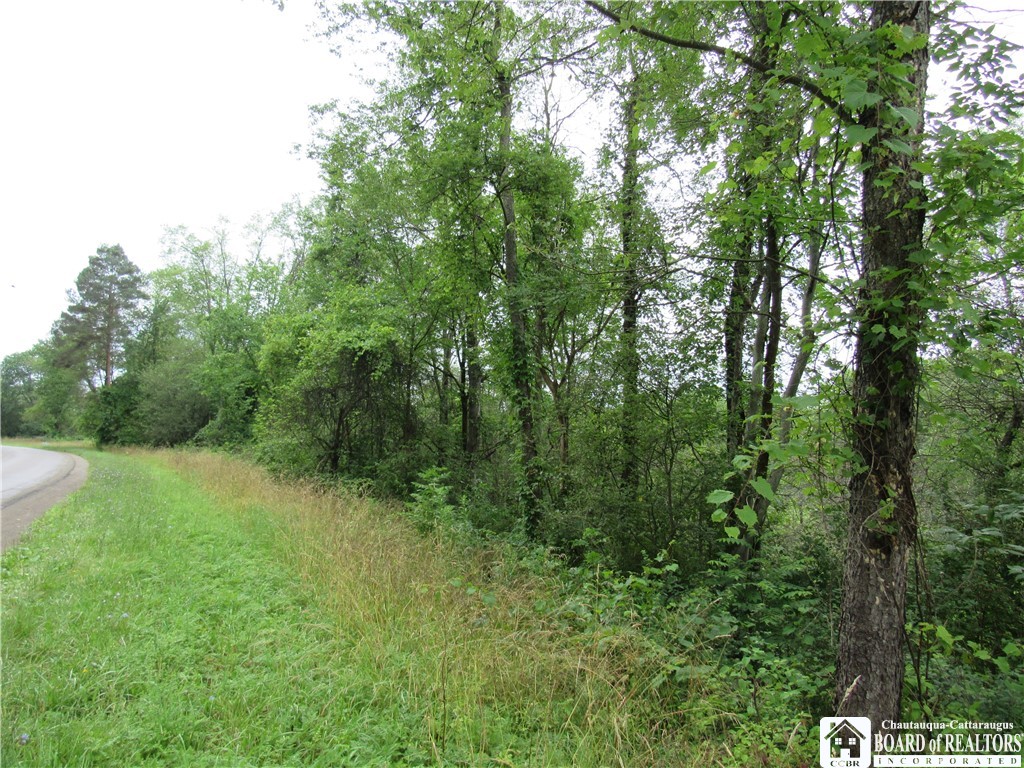 0 Quaint Road Falconer, NY 14733 - Photo 1 of 1 Gallery Image 1