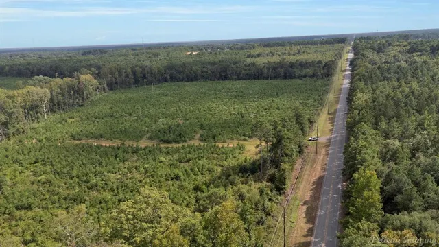 a view of a forest with an outdoor space