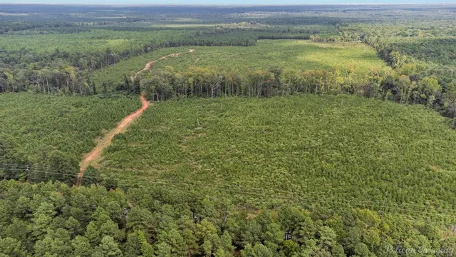 a view of a field with an ocean view