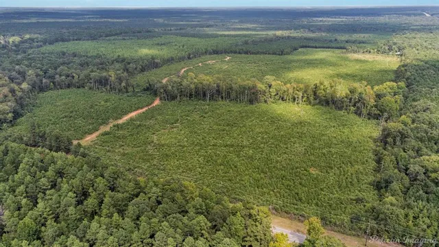 a view of a lush green field