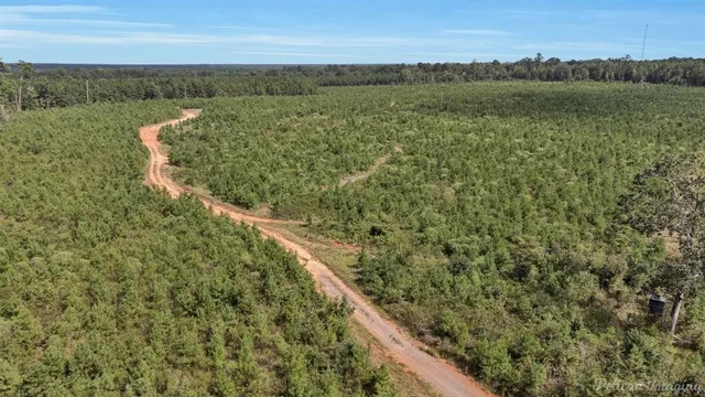 a view of a field with an ocean view