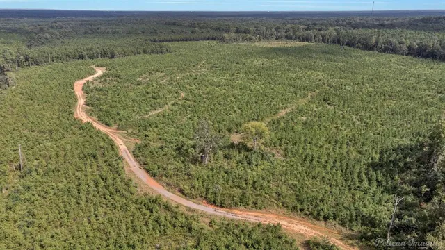a view of a field of grass and trees