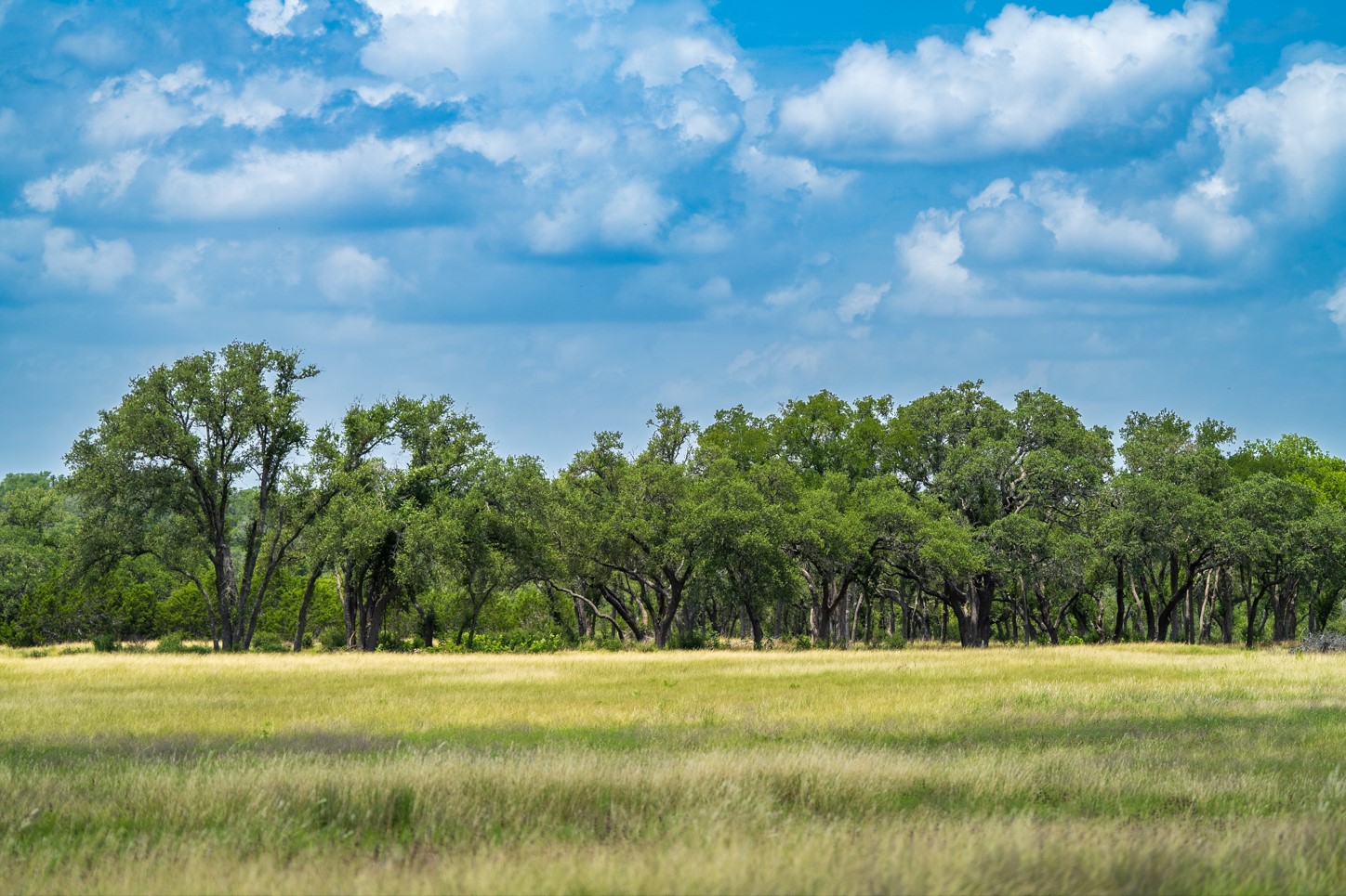 3979 Chimney Valley Road Blanco, TX 78606 - Photo 21 of 34