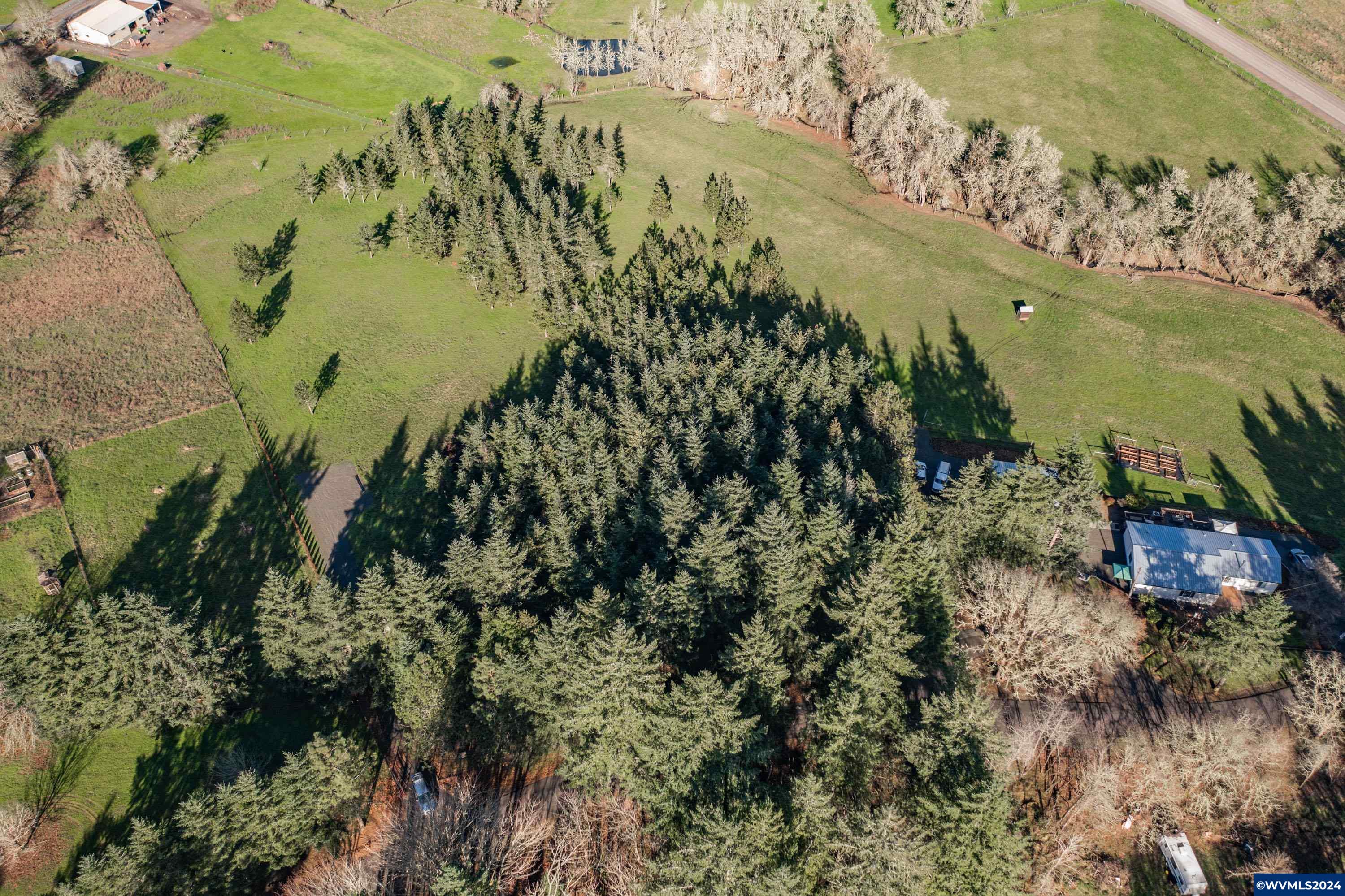 Buck Hill Lane Lebanon, OR 97355 - Photo 11 of 31