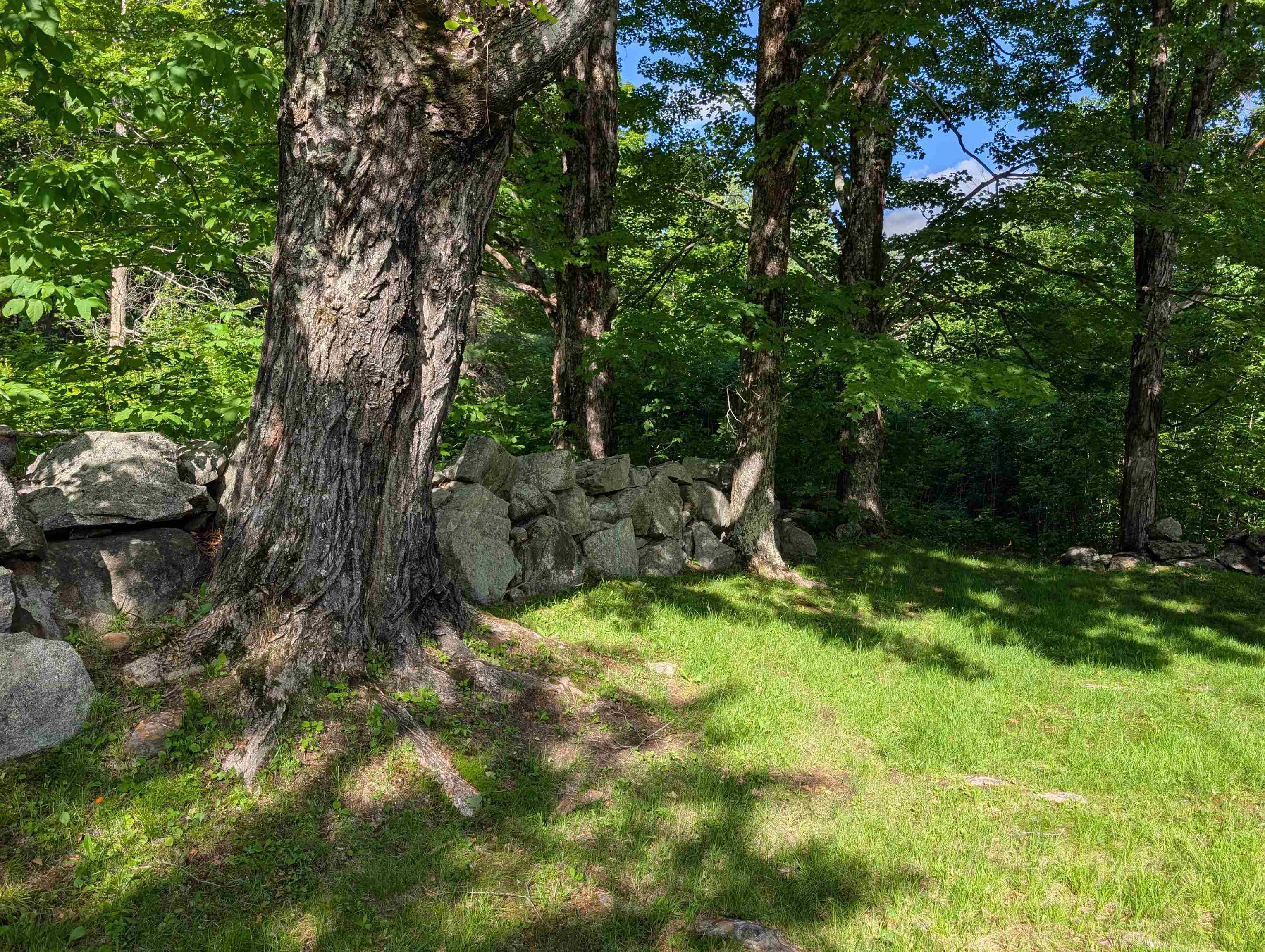163 Maple Ridge Road Sandwich, NH 03259 - Photo 12 of 59