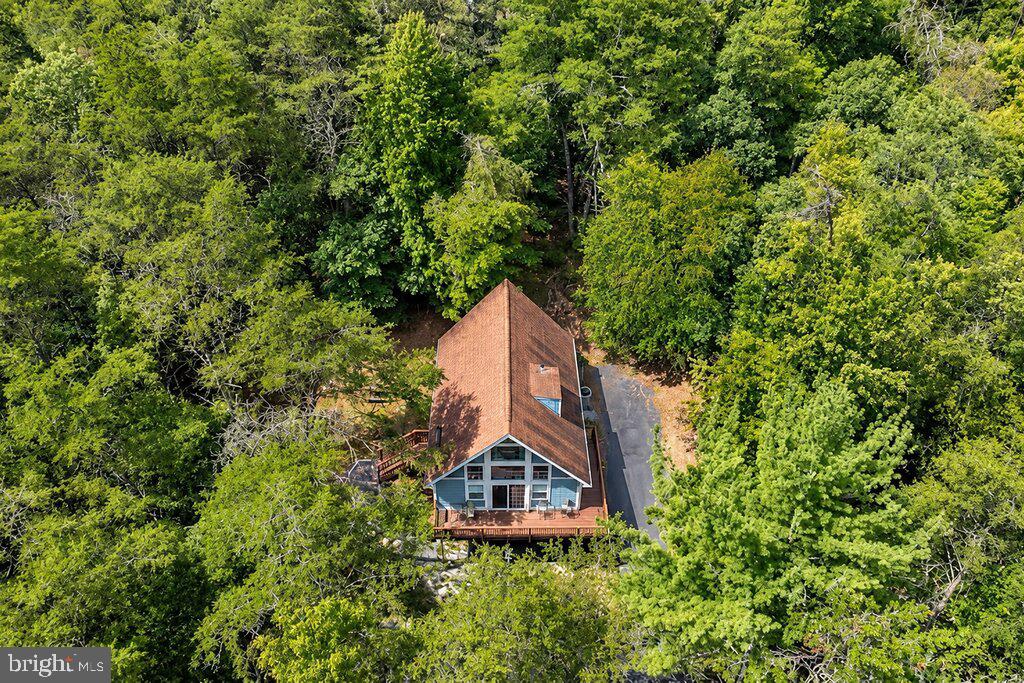190 Longstreet Road Basye, VA 22810 - Photo 28 of 28 Aerial View