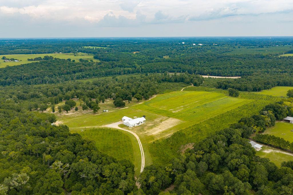 1138 Power Dam Road Newton, AL 36352 - Photo 1 of 111 Gallery Image 1