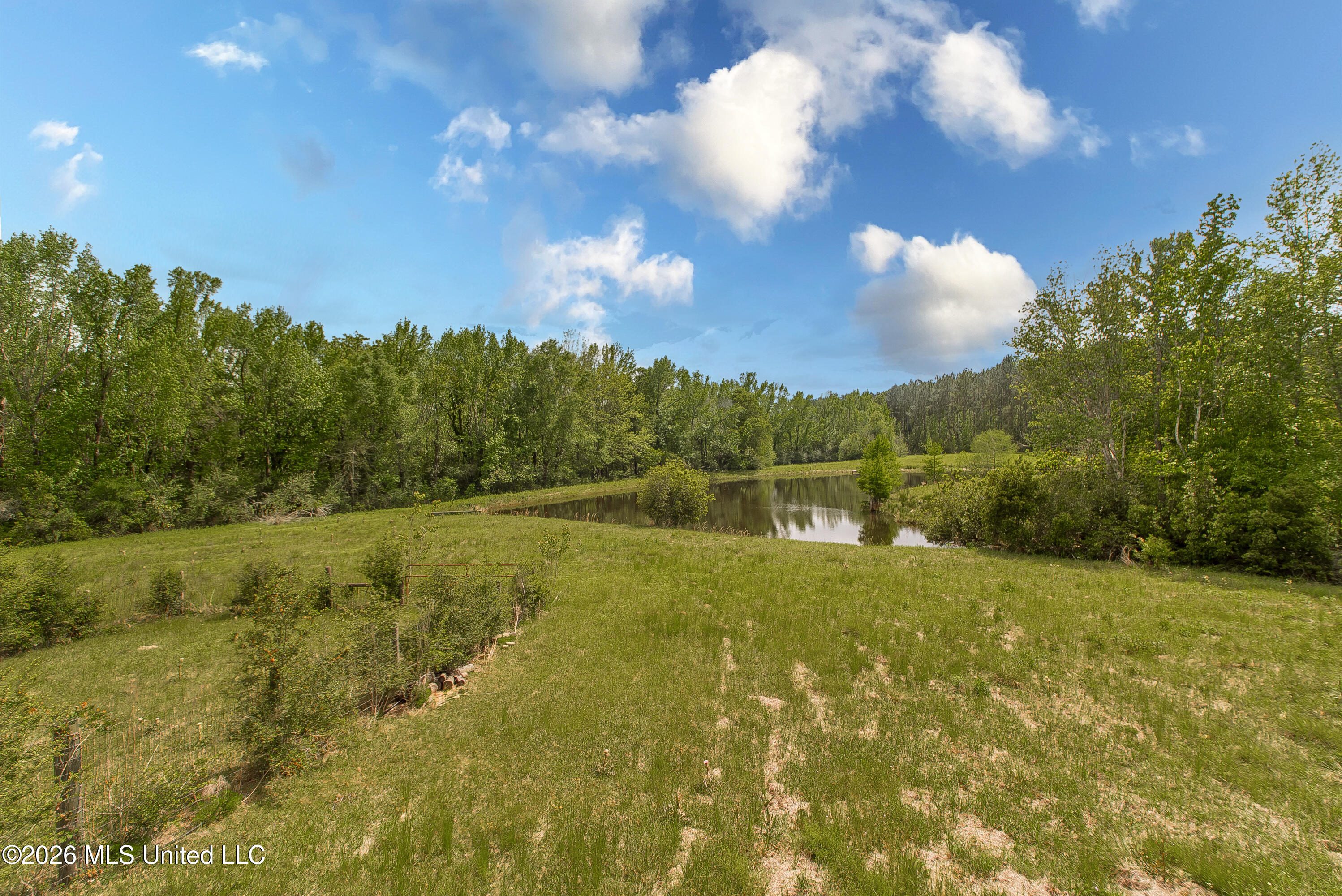 168 Winchester Road Poplarville, MS 39470 - Photo 35 of 42 DSC_9951 copy