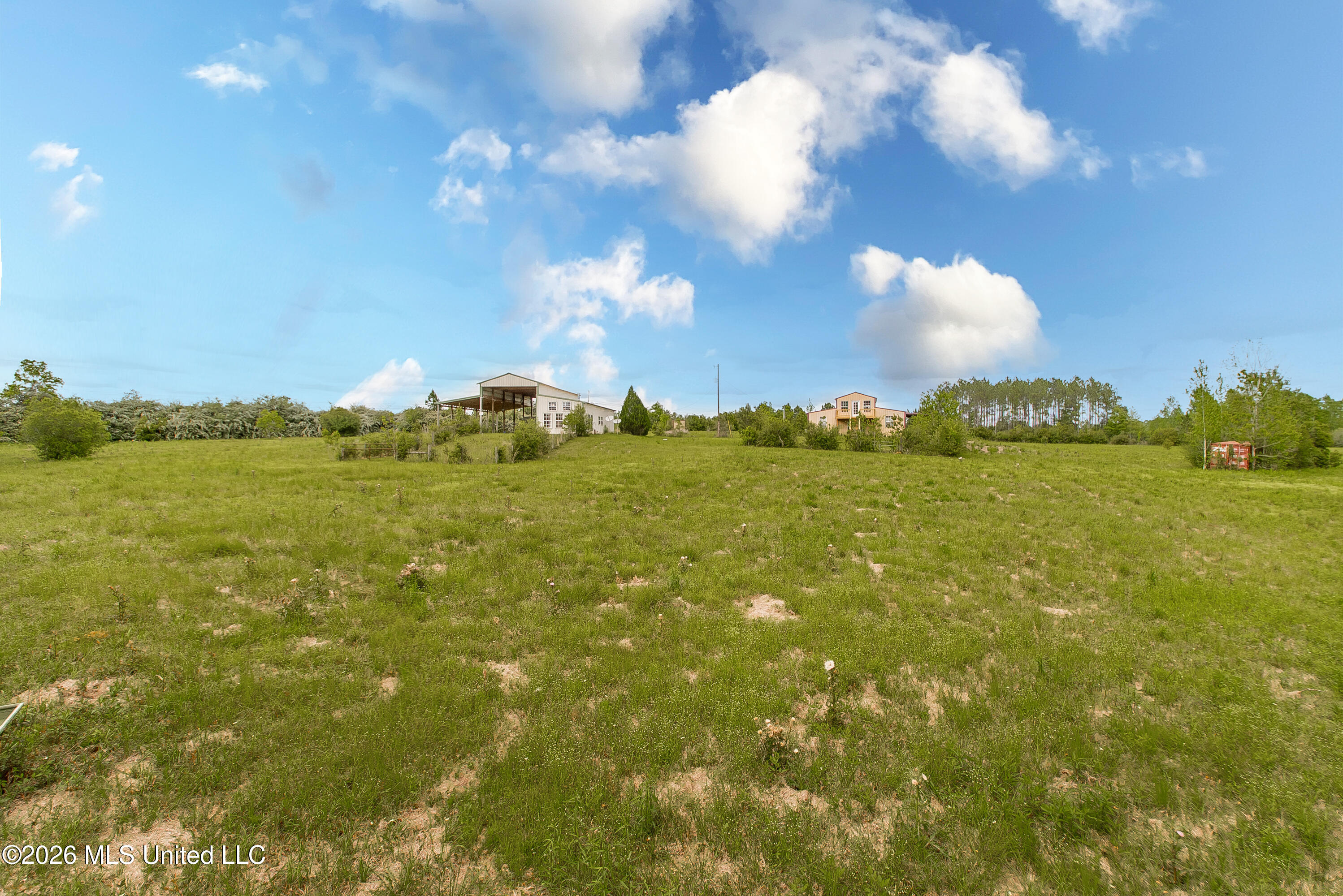 168 Winchester Road Poplarville, MS 39470 - Photo 37 of 42 DSC_9953 copy