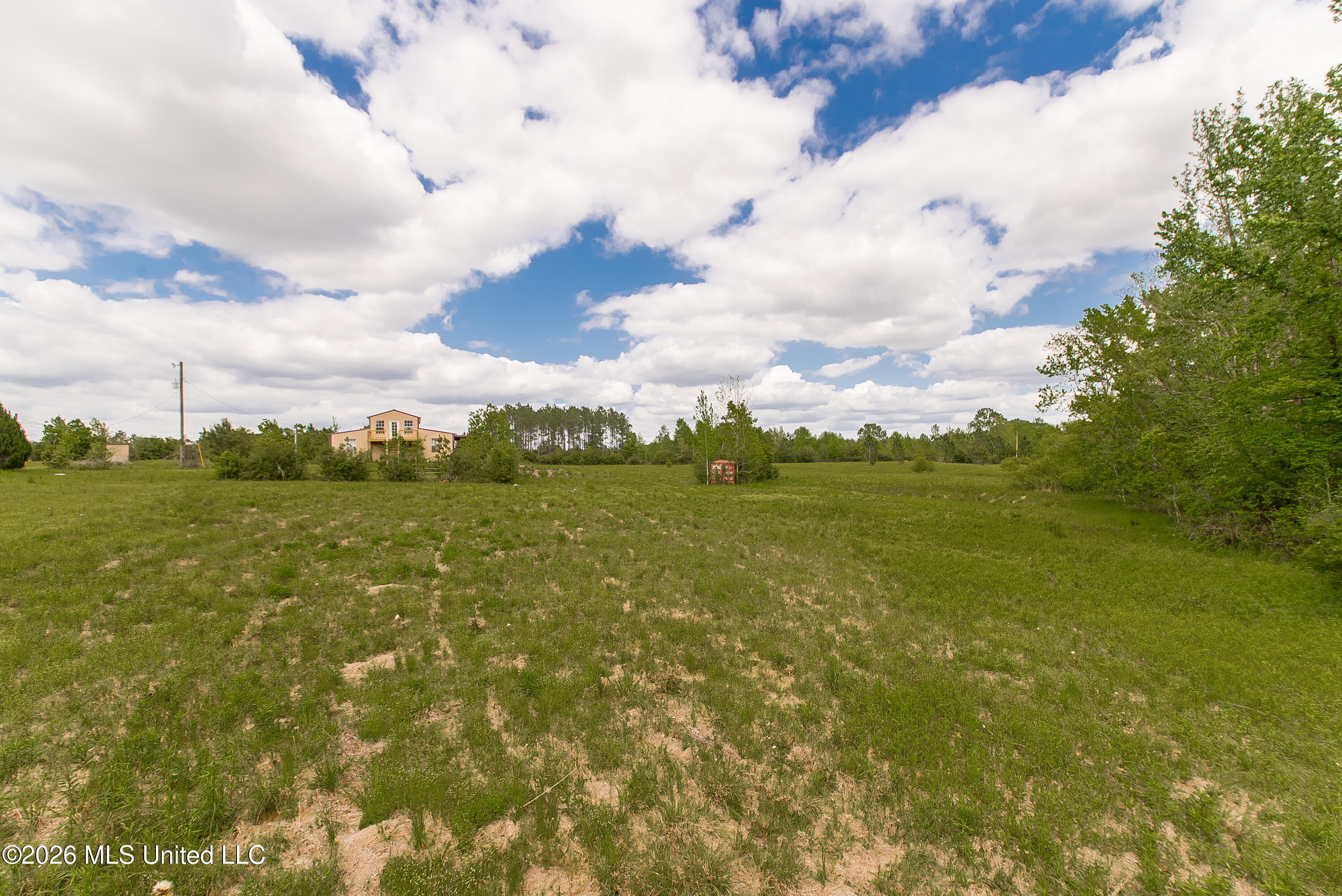 168 Winchester Road Poplarville, MS 39470 - Photo 38 of 42 DSC_9954 copy